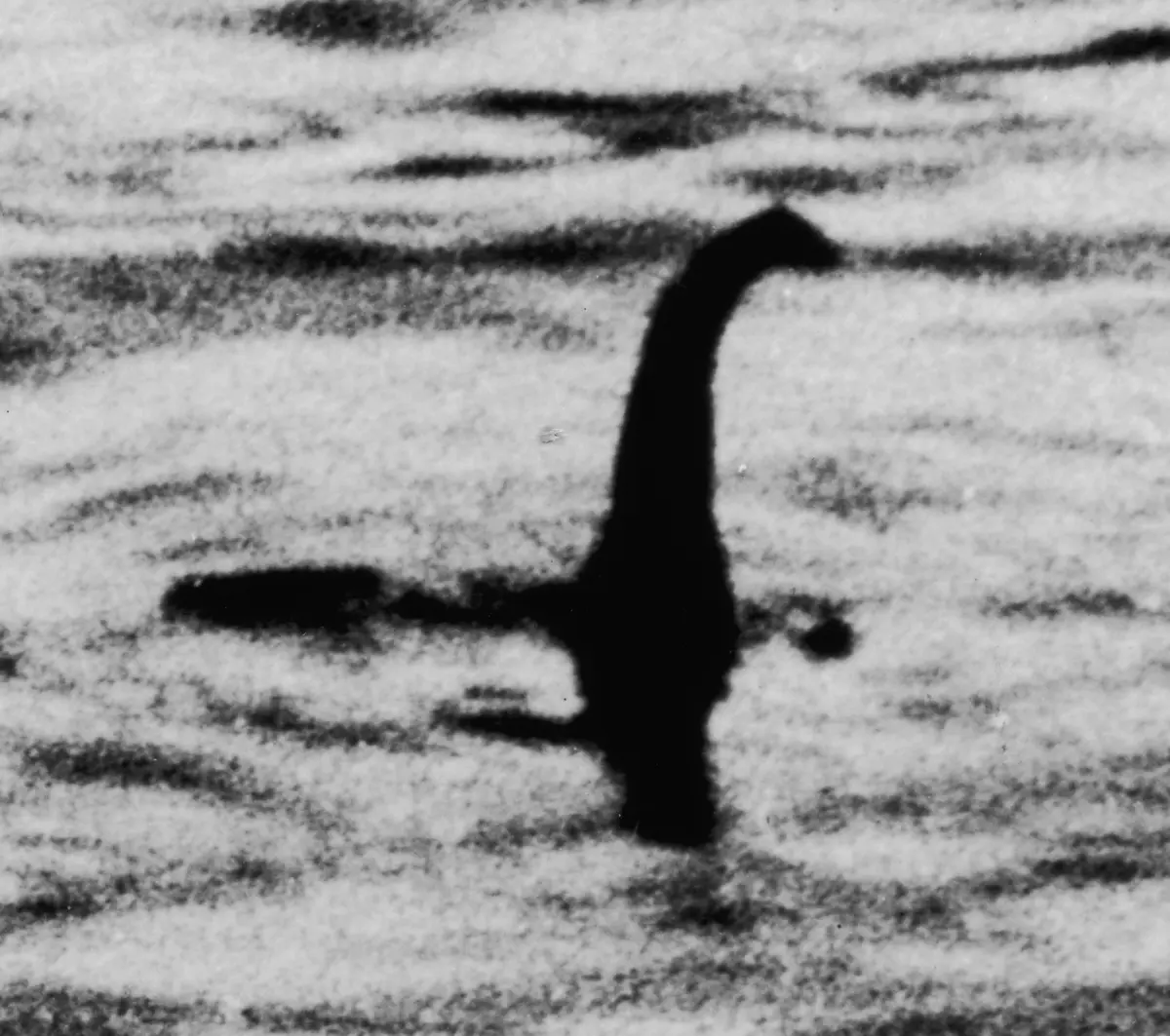 The 1934 Surgeon's Photograph showing a dark long-necked shape above the water